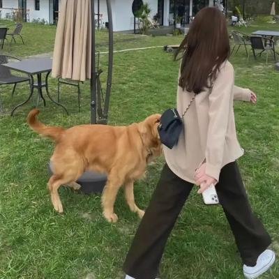 大炎诡闻录